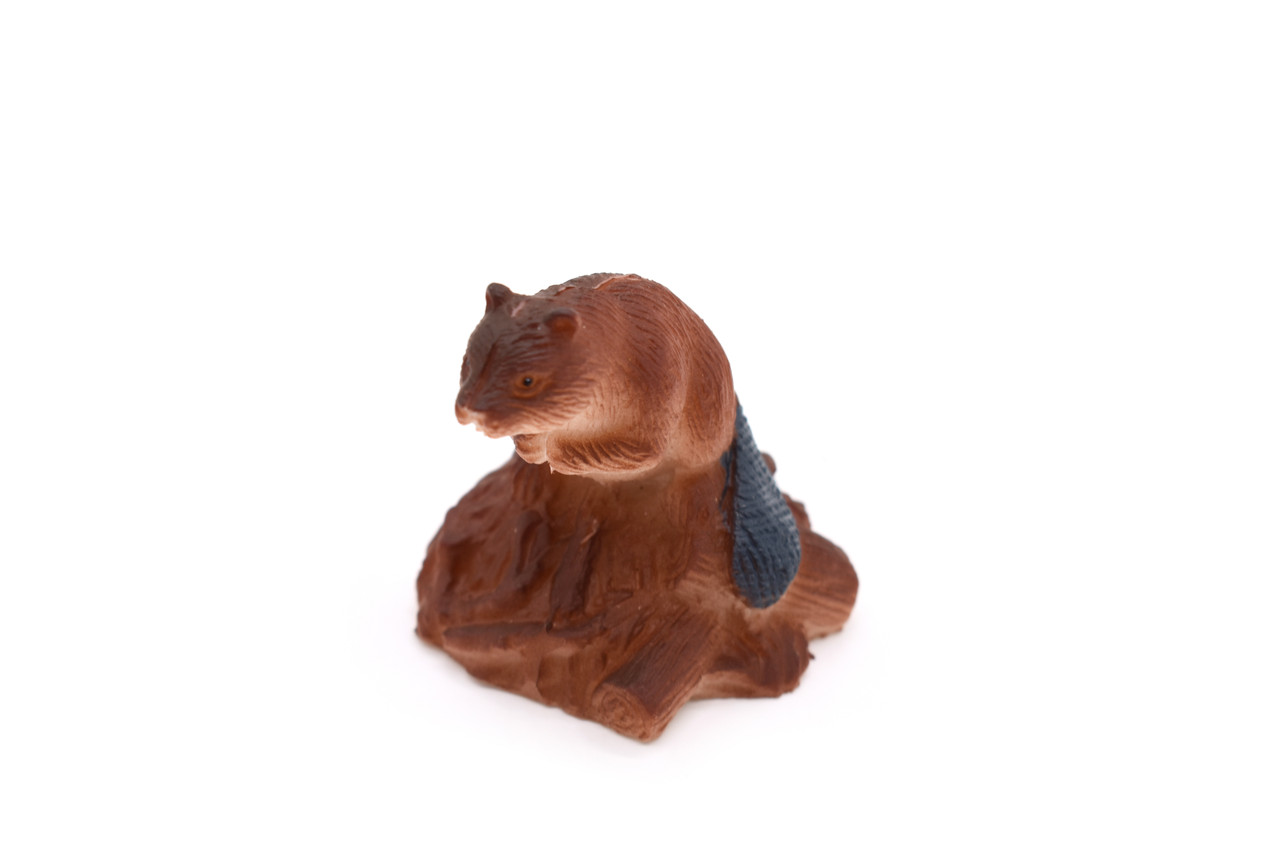 Beaver, Castor, Very Nice Plastic Animal, Educational, Toy, Kids, Realistic Figure, Lifelike Model, Figurine, Replica, Gift, 2" F422 B8 