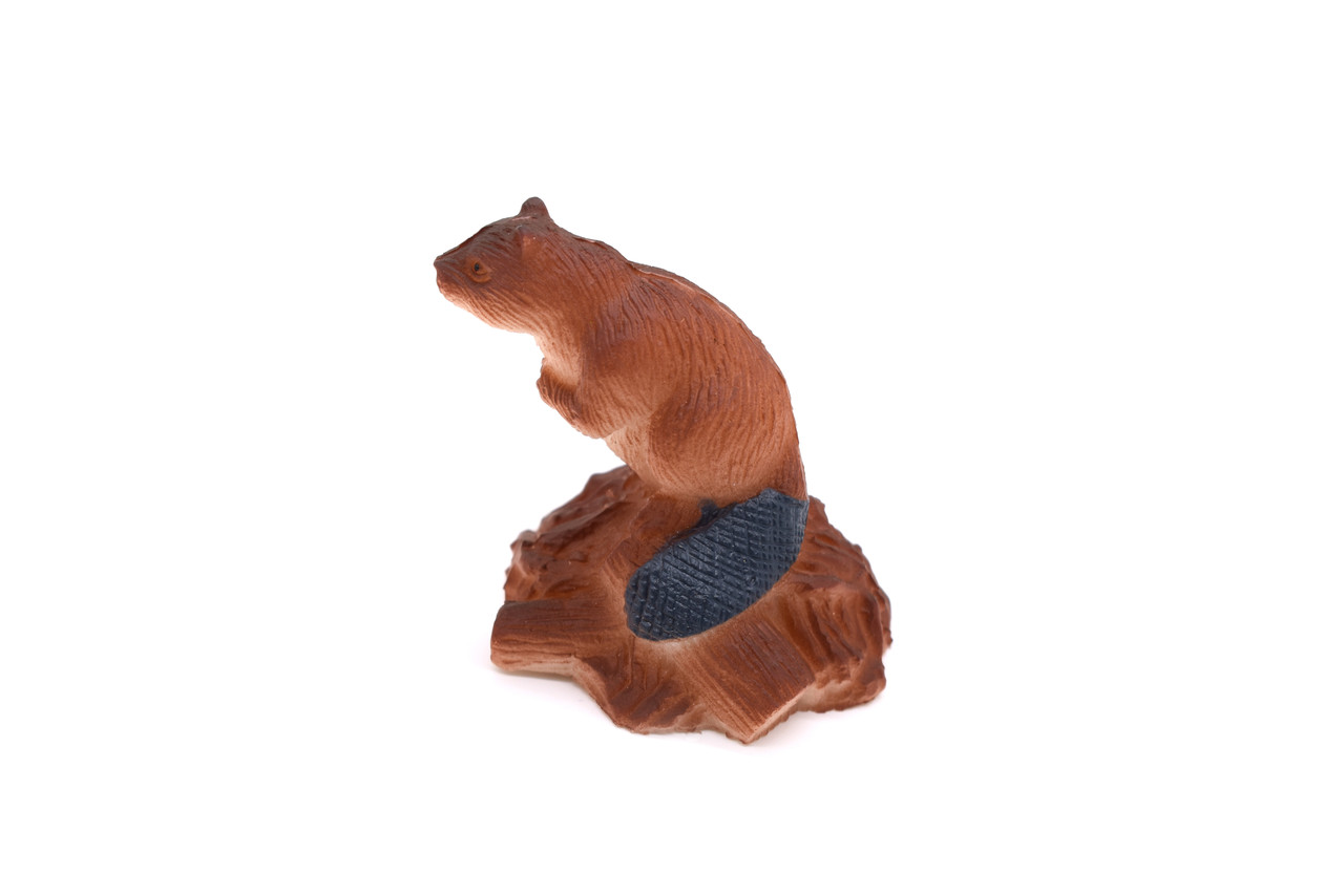 Beaver, Castor, Very Nice Plastic Animal, Educational, Toy, Kids, Realistic Figure, Lifelike Model, Figurine, Replica, Gift, 2" F422 B8 