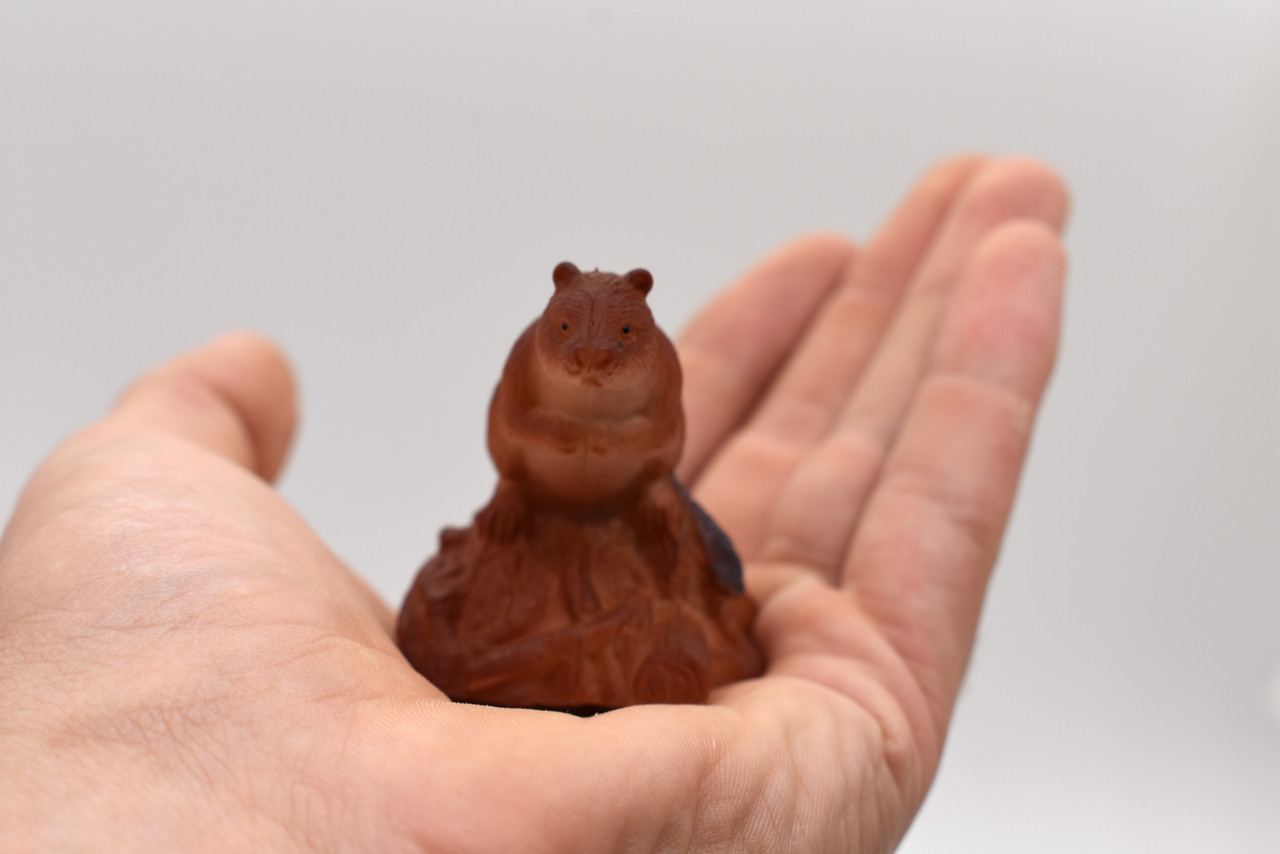 Beaver, Castor, Very Nice Plastic Animal, Educational, Toy, Kids, Realistic Figure, Lifelike Model, Figurine, Replica, Gift, 2" F422 B8 