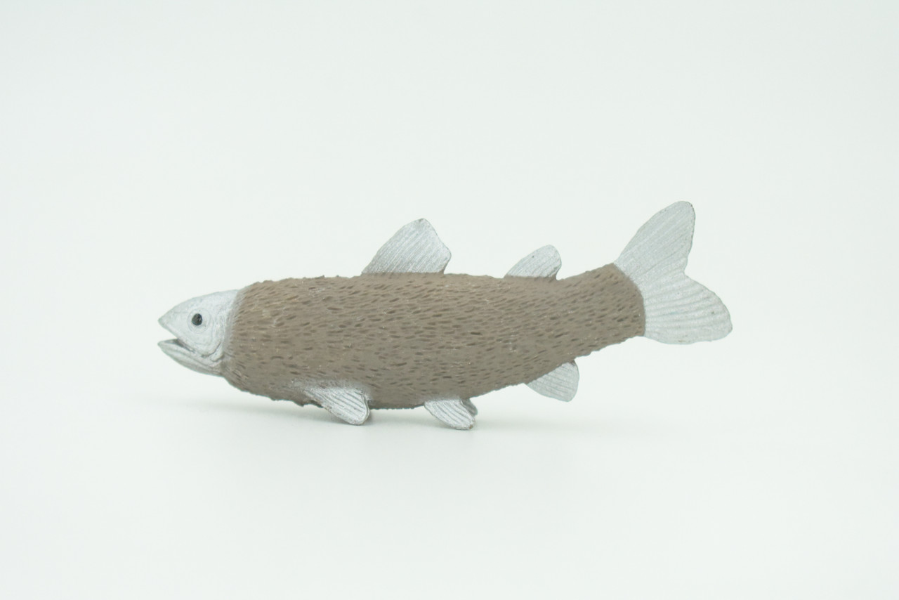Furry Trout, Legendary Fish, Rubber, Hand Painted, Realistic, Figure, Model, Replica, Toy, Kids, Educational, Gift,      3"   F4232 B376