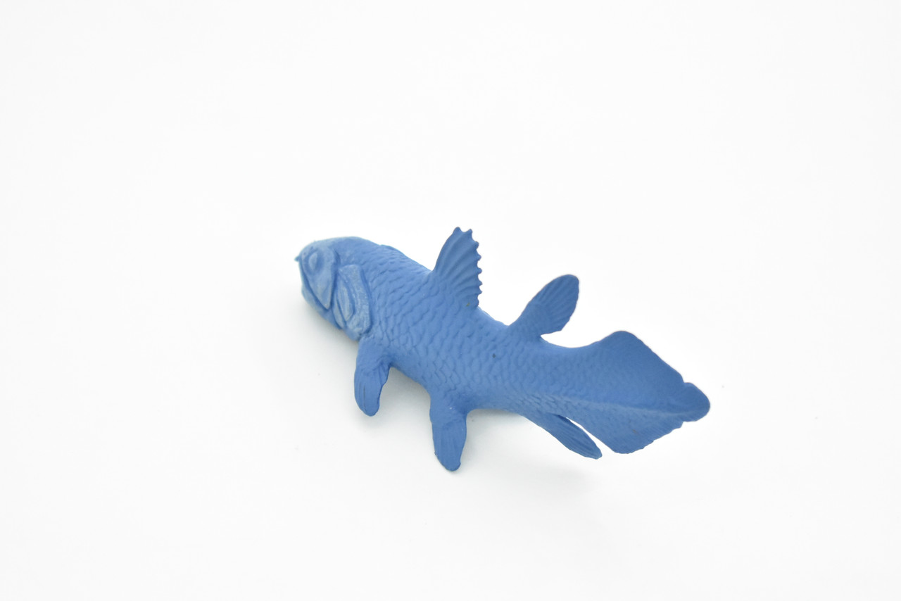 Coelacanth, Fish, Very Nice Plastic Reproduction,         3" X 1.5"      F4233 B376