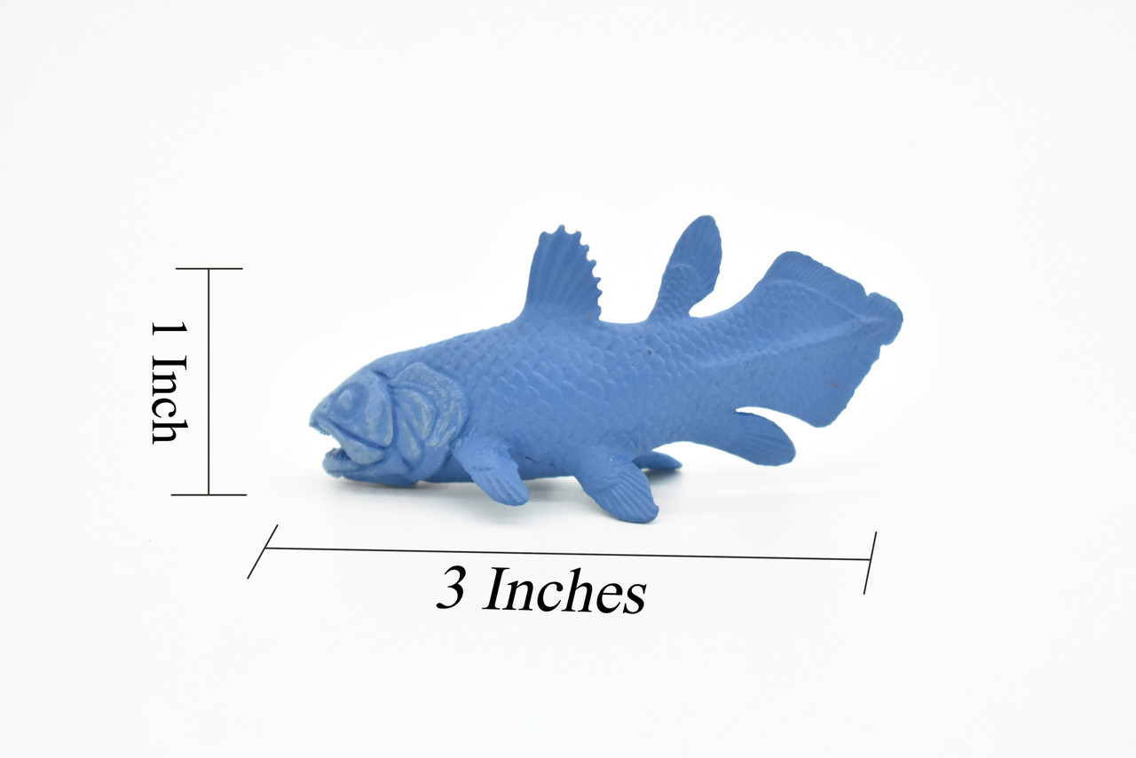 Coelacanth, Fish, Very Nice Plastic Reproduction,         3" X 1.5"      F4233 B376