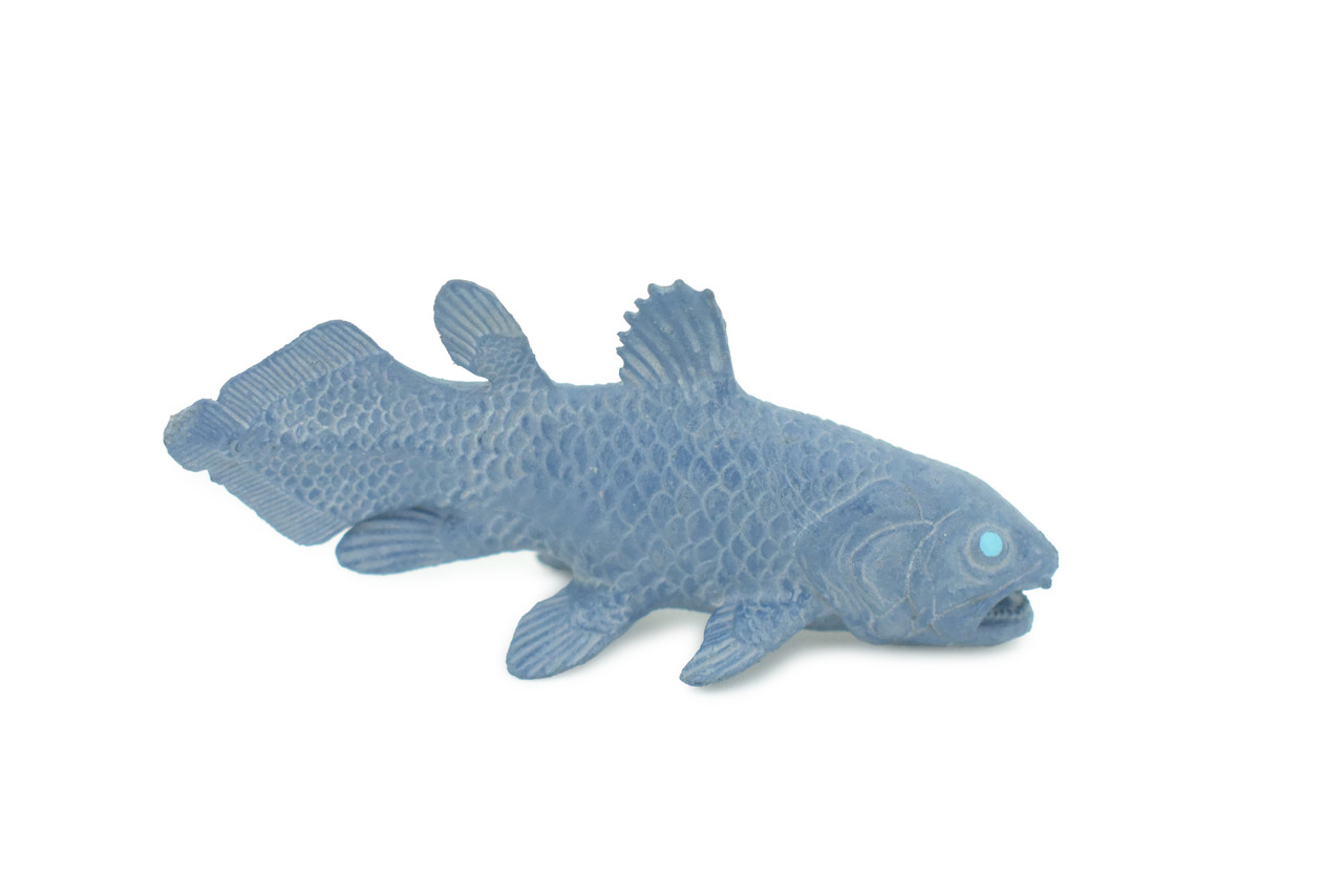 Coelacanth, Fish, Saltwater Fish, Rubber Fish, Hand Painted, Realistic, Figure, Model, Replica, Toy, Kids, Educational, Gift, 3" F4233 B376