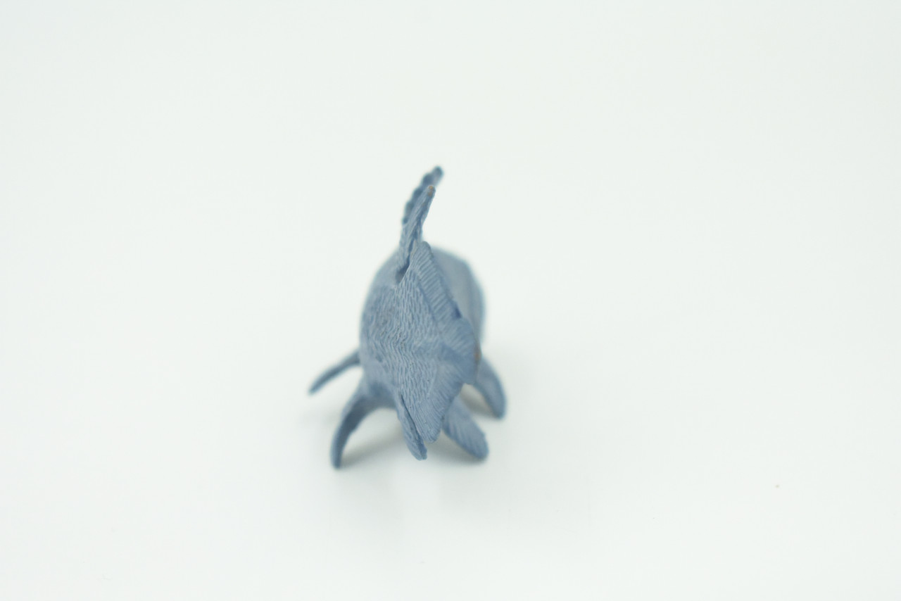 Coelacanth, Fish, Saltwater Fish, Rubber Fish, Hand Painted, Realistic, Figure, Model, Replica, Toy, Kids, Educational, Gift,     3"    F4233 B376