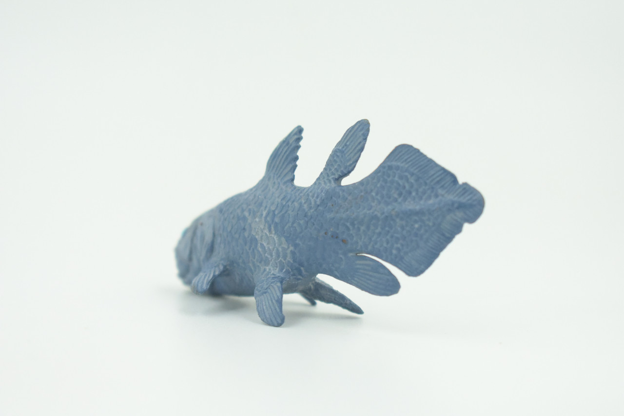 Coelacanth, Fish, Saltwater Fish, Rubber Fish, Hand Painted, Realistic, Figure, Model, Replica, Toy, Kids, Educational, Gift,     3"    F4233 B376