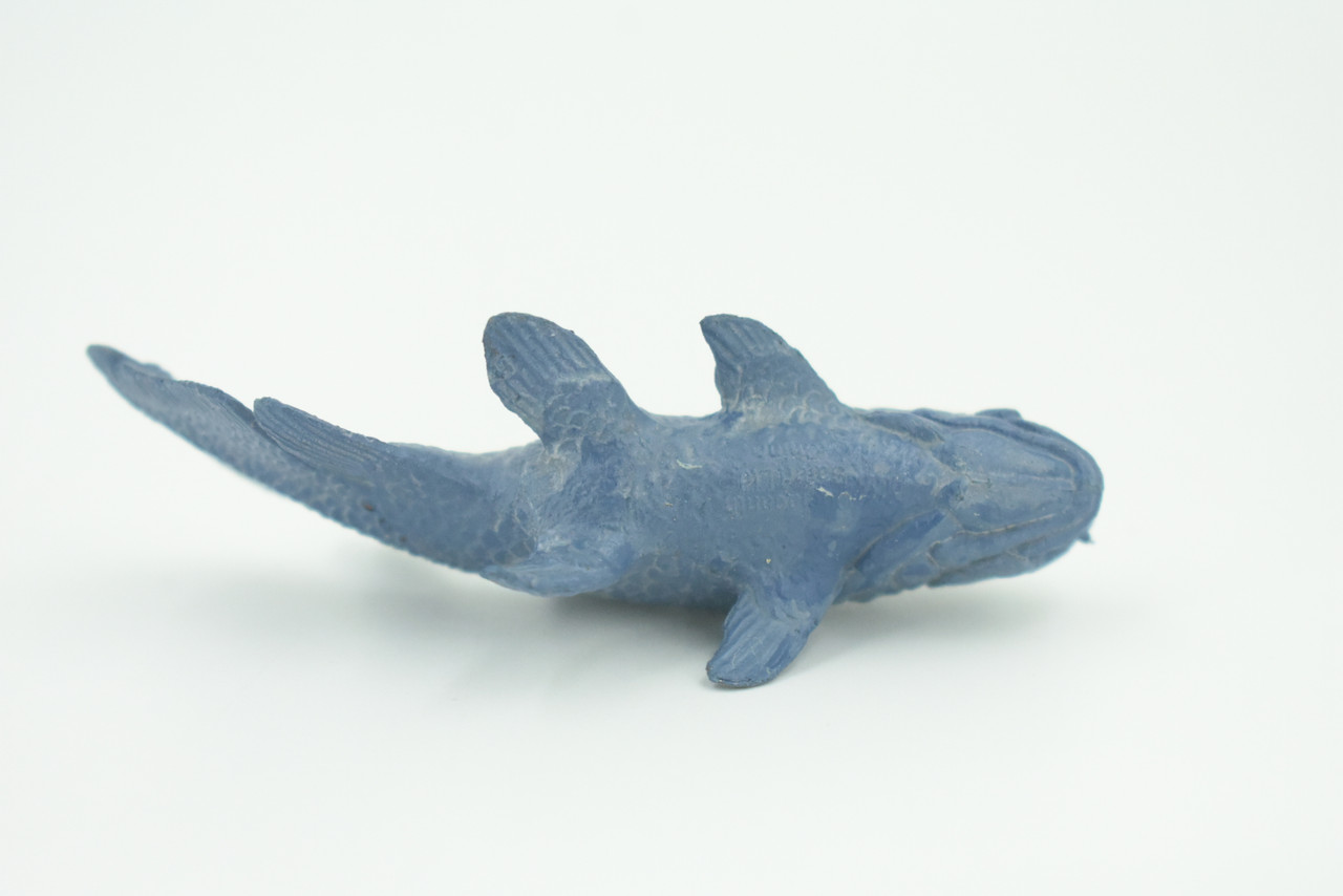 Coelacanth, Fish, Saltwater Fish, Rubber Fish, Hand Painted, Realistic, Figure, Model, Replica, Toy, Kids, Educational, Gift,     3"    F4233 B376