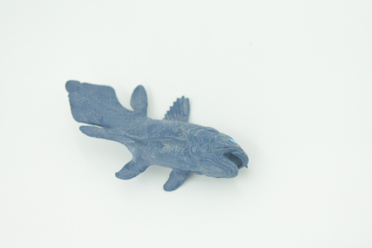 Coelacanth, Fish, Saltwater Fish, Rubber Fish, Hand Painted, Realistic, Figure, Model, Replica, Toy, Kids, Educational, Gift,     3"    F4233 B376