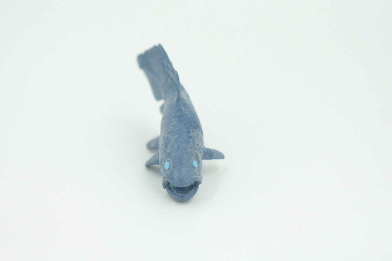 Coelacanth, Fish, Saltwater Fish, Rubber Fish, Hand Painted, Realistic, Figure, Model, Replica, Toy, Kids, Educational, Gift,     3"    F4233 B376