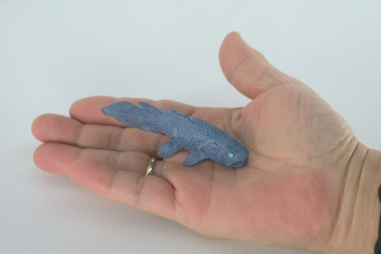 Coelacanth, Fish, Saltwater Fish, Rubber Fish, Hand Painted, Realistic, Figure, Model, Replica, Toy, Kids, Educational, Gift,     3"    F4233 B376
