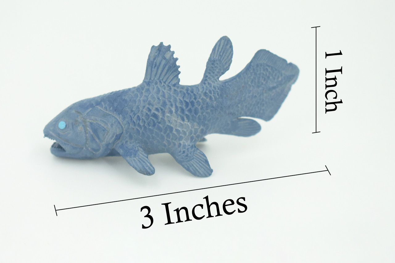 Coelacanth, Fish, Saltwater Fish, Rubber Fish, Hand Painted, Realistic, Figure, Model, Replica, Toy, Kids, Educational, Gift,     3"    F4233 B376