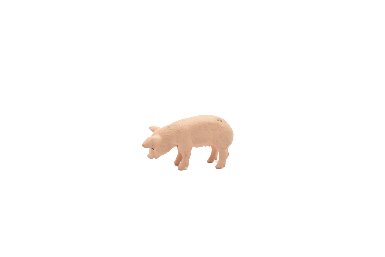 Pig, Domestic, Very Nice Plastic Animal, Educational, Realistic Figure, Lifelike Model, Figurine, Replica, Gift,    1 3/4" 