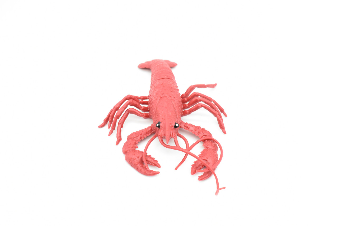 Lobster, Crayfish, Crawdad Design, Orange, Rubber Crustaceans, Educational, Figure, Lifelike, Model, Replica, Gift,     7"     F464 B4