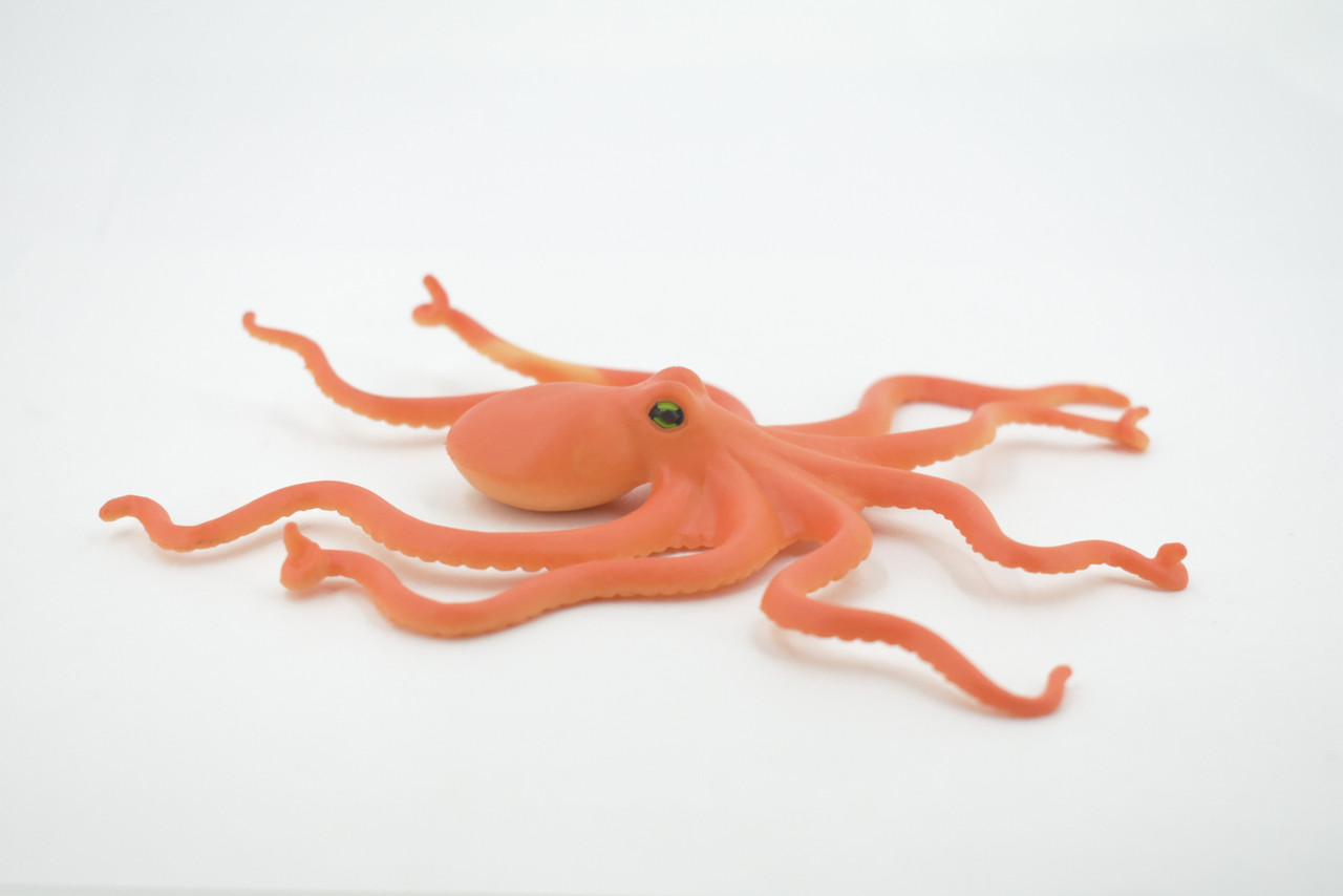 Octopus, Octopuses, Rubber, Octopodes, Educational, Realistic Hand Painted, Figure, Lifelike Figurine, Replica, Gift,      5"     F467 B5