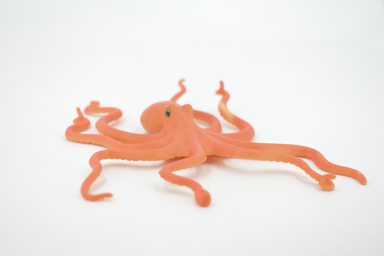 Octopus, Octopuses, Rubber, Octopodes, Educational, Realistic Hand Painted, Figure, Lifelike Figurine, Replica, Gift,      5"     F467 B5