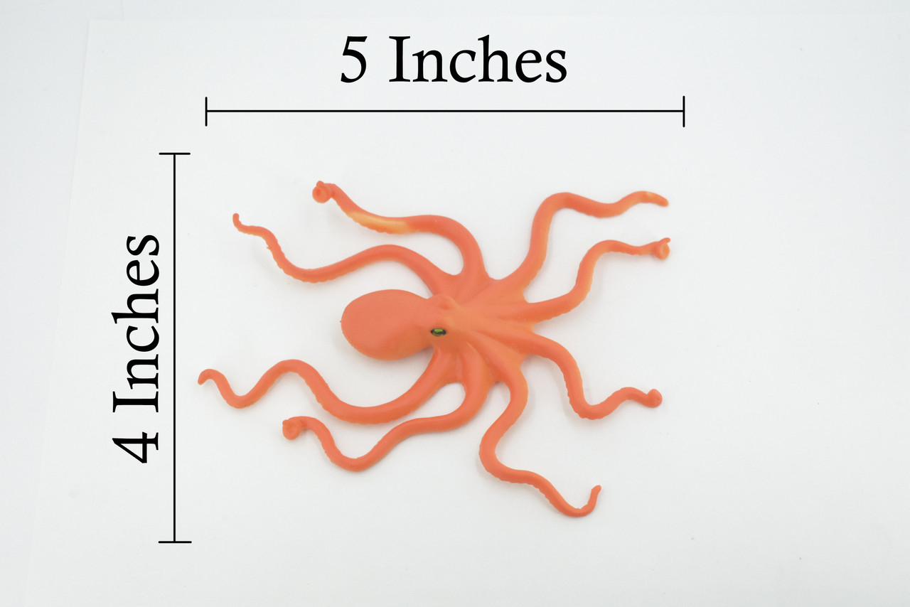 Octopus, Octopuses, Rubber, Octopodes, Educational, Realistic Hand Painted, Figure, Lifelike Figurine, Replica, Gift,      5"     F467 B5