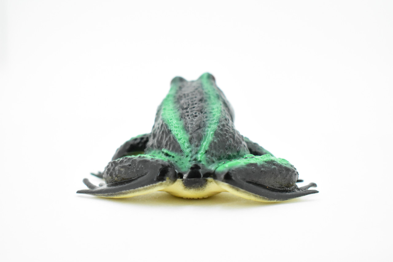 Frog, Black and Green Toad, Rubber Toy, Realistic, Rainforest, Figure, Model, Replica, Kids, Educational, Gift,     3"     F6086 B3