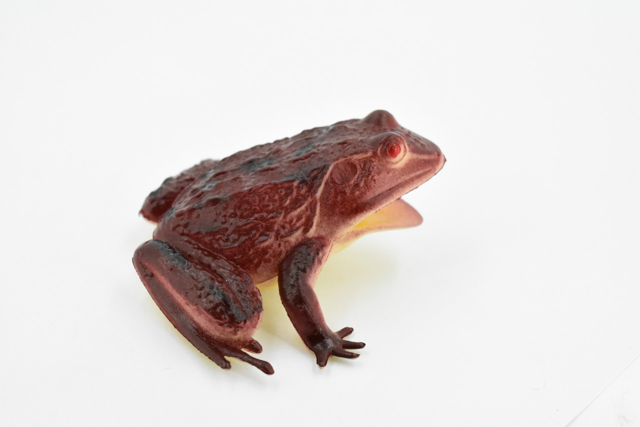 Frog, Red Toad, Rubber Toy, Realistic, Rainforest, Figure, Model, Replica, Kids, Educational, Gift,      3"     F6088 B3