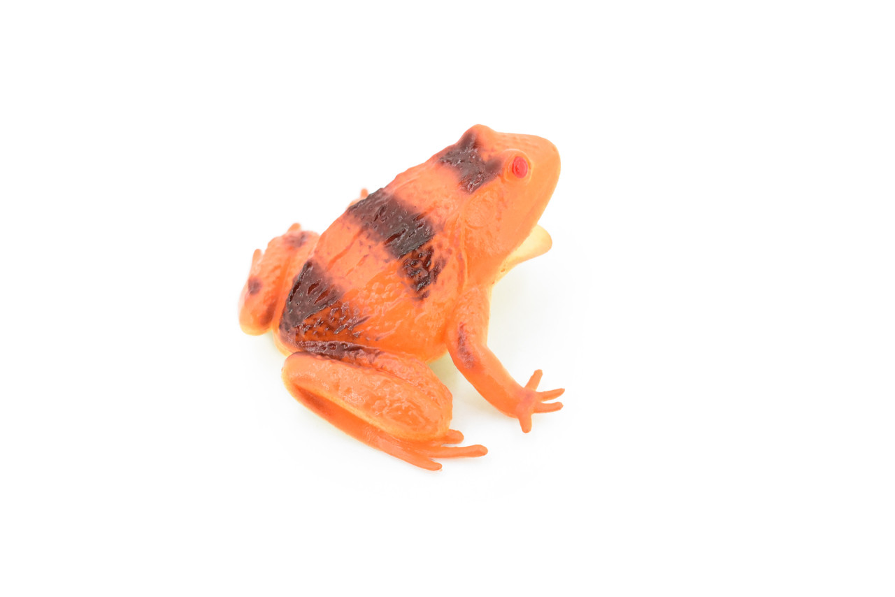 Frog, Orange Frog, Toad, Rubber Toy, Realistic, Rainforest Amphibian, Figure, Model, Replica, Kids, Educational, Gift,     3"