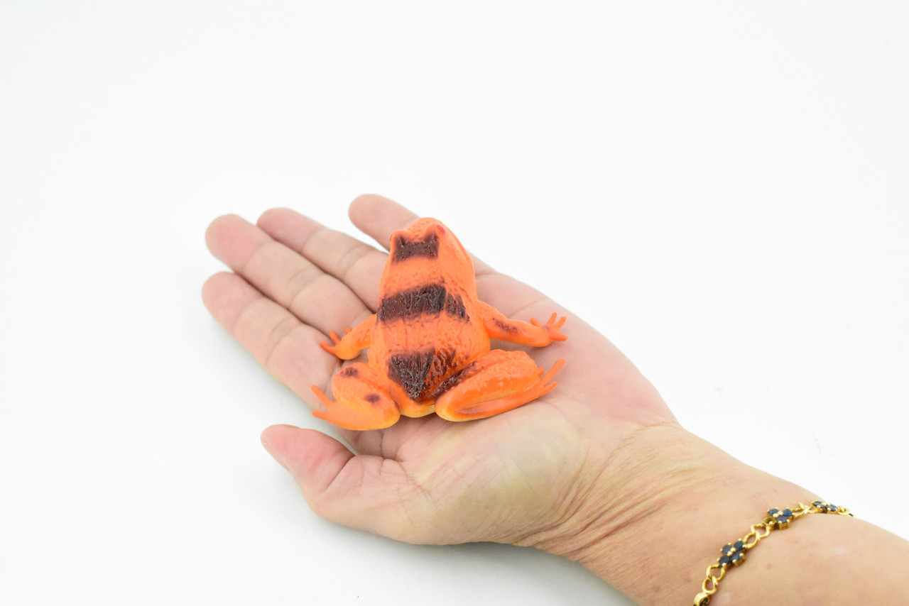 Frog, Orange Frog, Toad, Rubber Toy, Realistic, Rainforest Amphibian, Figure, Model, Replica, Kids, Educational, Gift,     3"