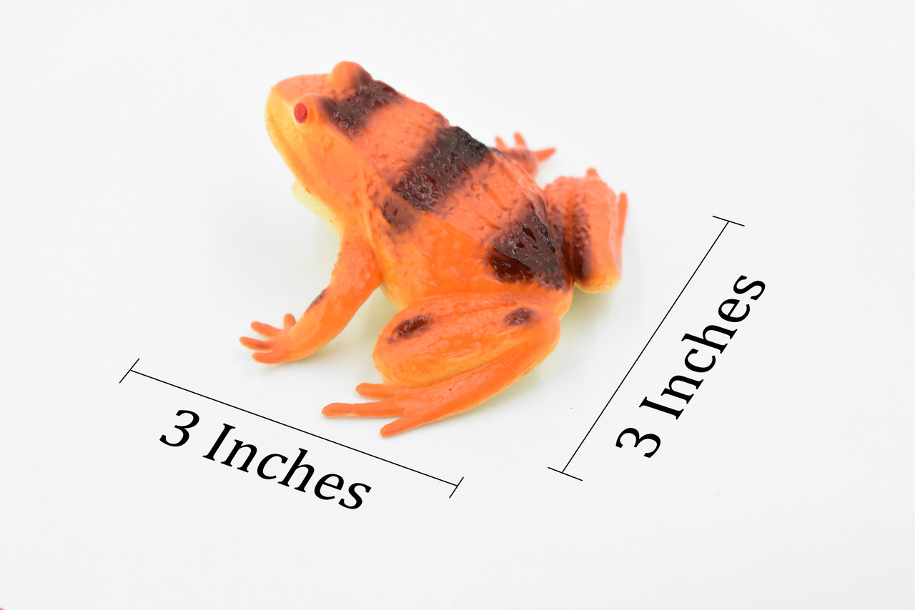 Frog, Orange Frog, Toad, Rubber Toy, Realistic, Rainforest Amphibian, Figure, Model, Replica, Kids, Educational, Gift,     3"