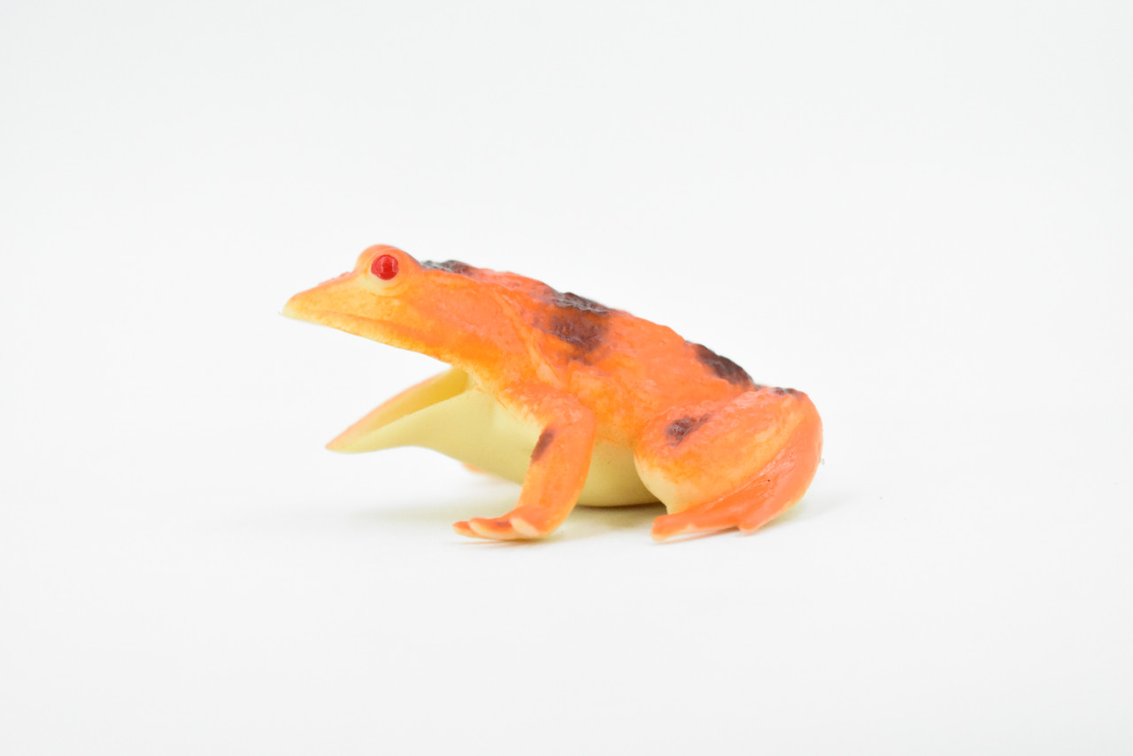 Frog, Orange Frog, Toad, Rubber Toy, Realistic, Rainforest Amphibian, Figure, Model, Replica, Kids, Educational, Gift,     3"