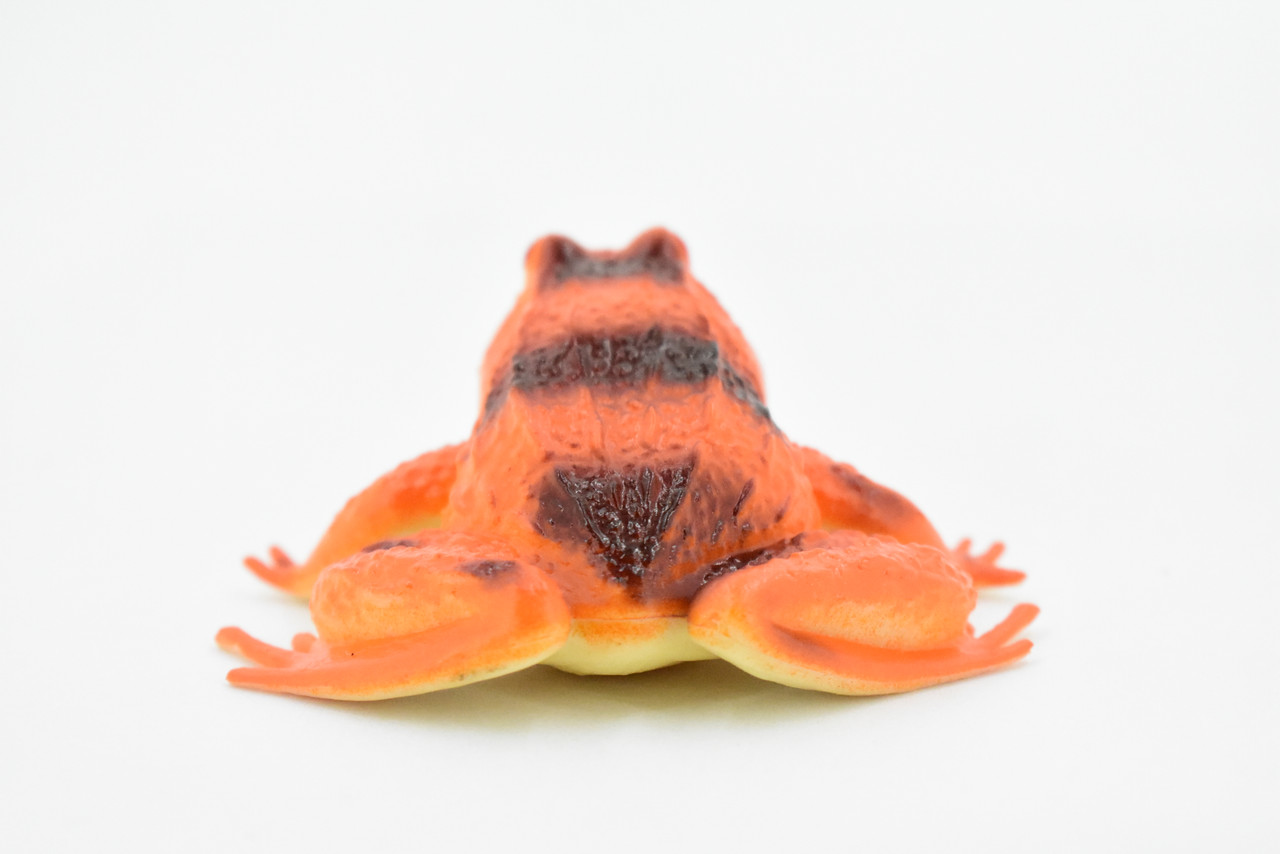 Frog, Orange Frog, Toad, Rubber Toy, Realistic, Rainforest, Figure, Model, Replica, Kids, Educational, Gift,      3"     F6089 B3
