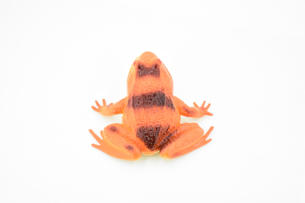 Frog, Orange Frog, Toad, Rubber Toy, Realistic, Rainforest Amphibian, Figure, Model, Replica, Kids, Educational, Gift,     3"     F6089 B3