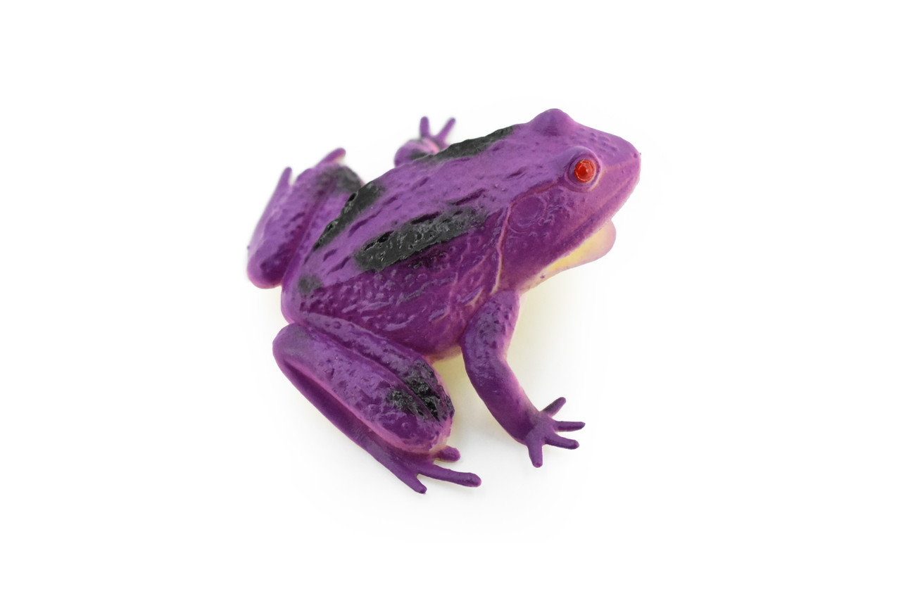 Frog, Purple Toad, Rubber Toy, Realistic, Rainforest, Figure, Model, Replica, Kids, Educational, Gift,      3"     F6090 B3