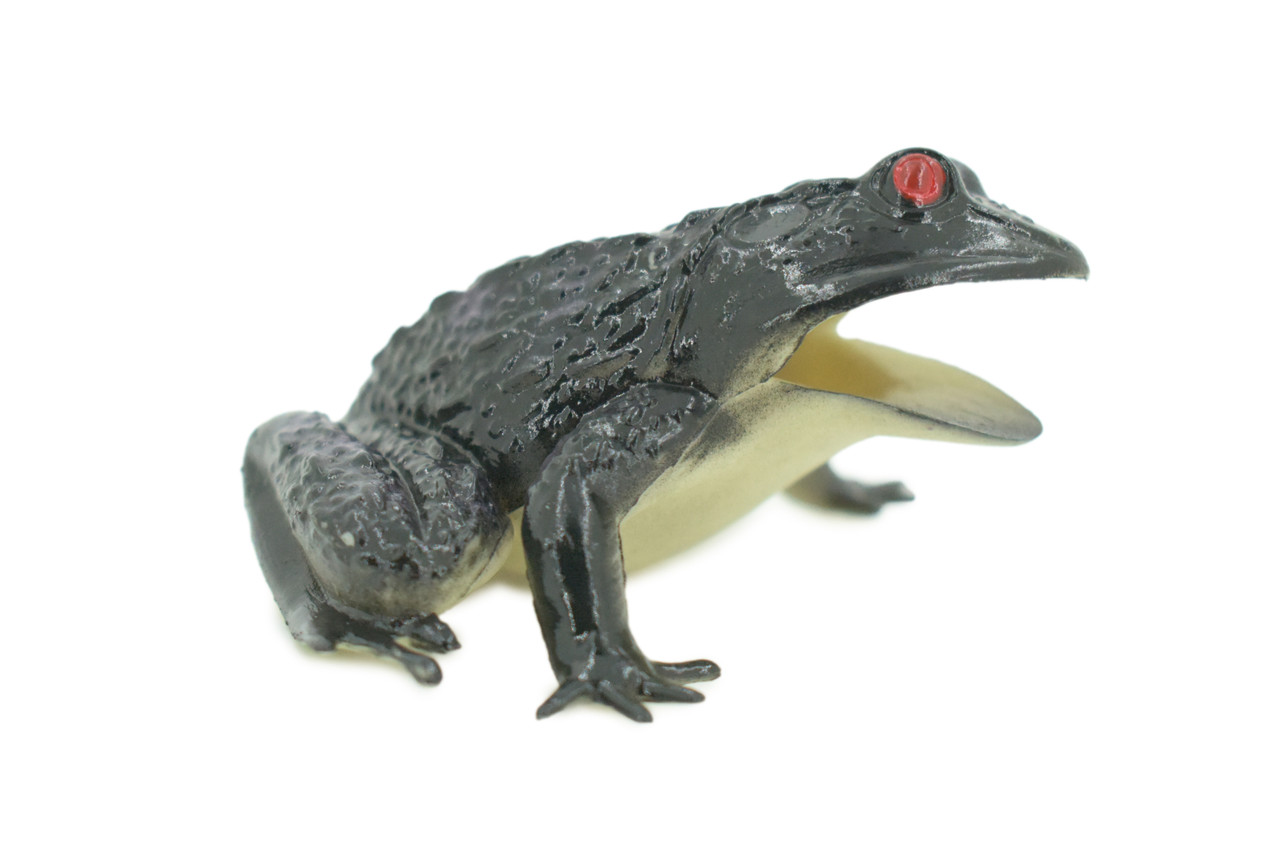 Frog, Black Frog, Toad, Rubber Toy, Realistic, Rainforest Amphibian, Figure, Model, Replica, Kids, Educational, Gift, 3" F6091 B3