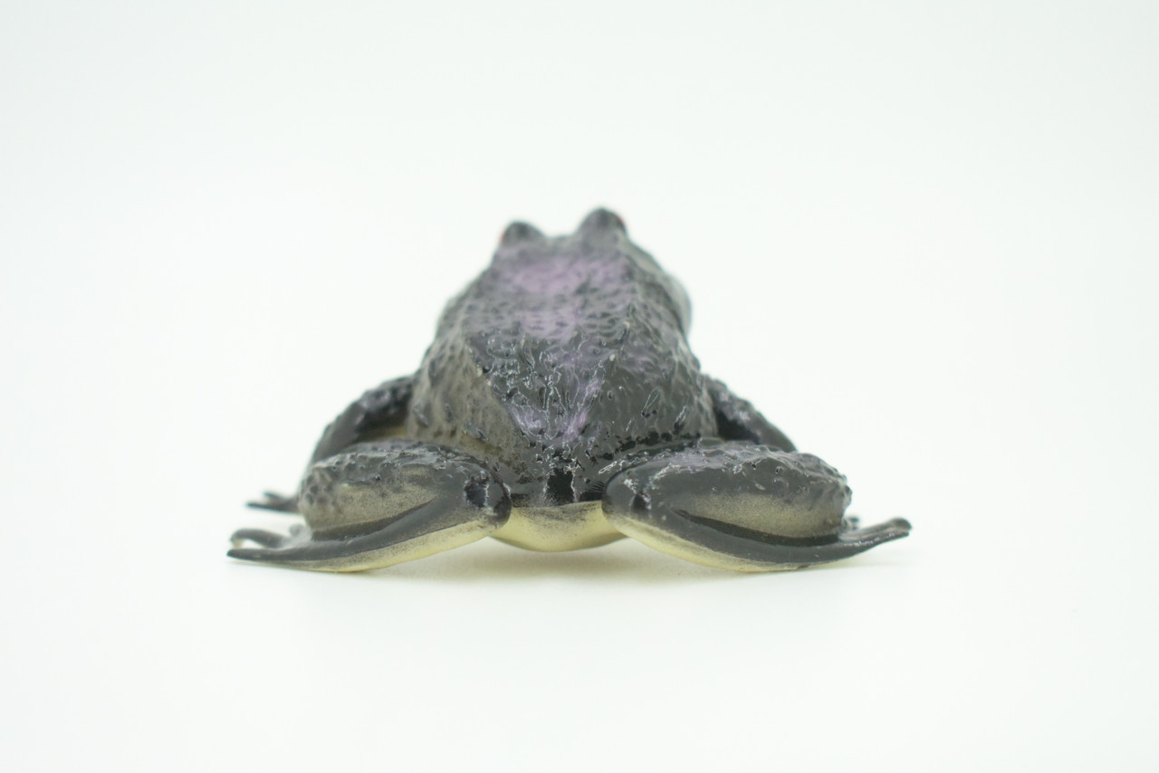 Frog, Black Frog, Toad, Rubber Toy, Realistic, Rainforest Amphibian, Figure, Model, Replica, Kids, Educational, Gift,     3"    F6091 B3