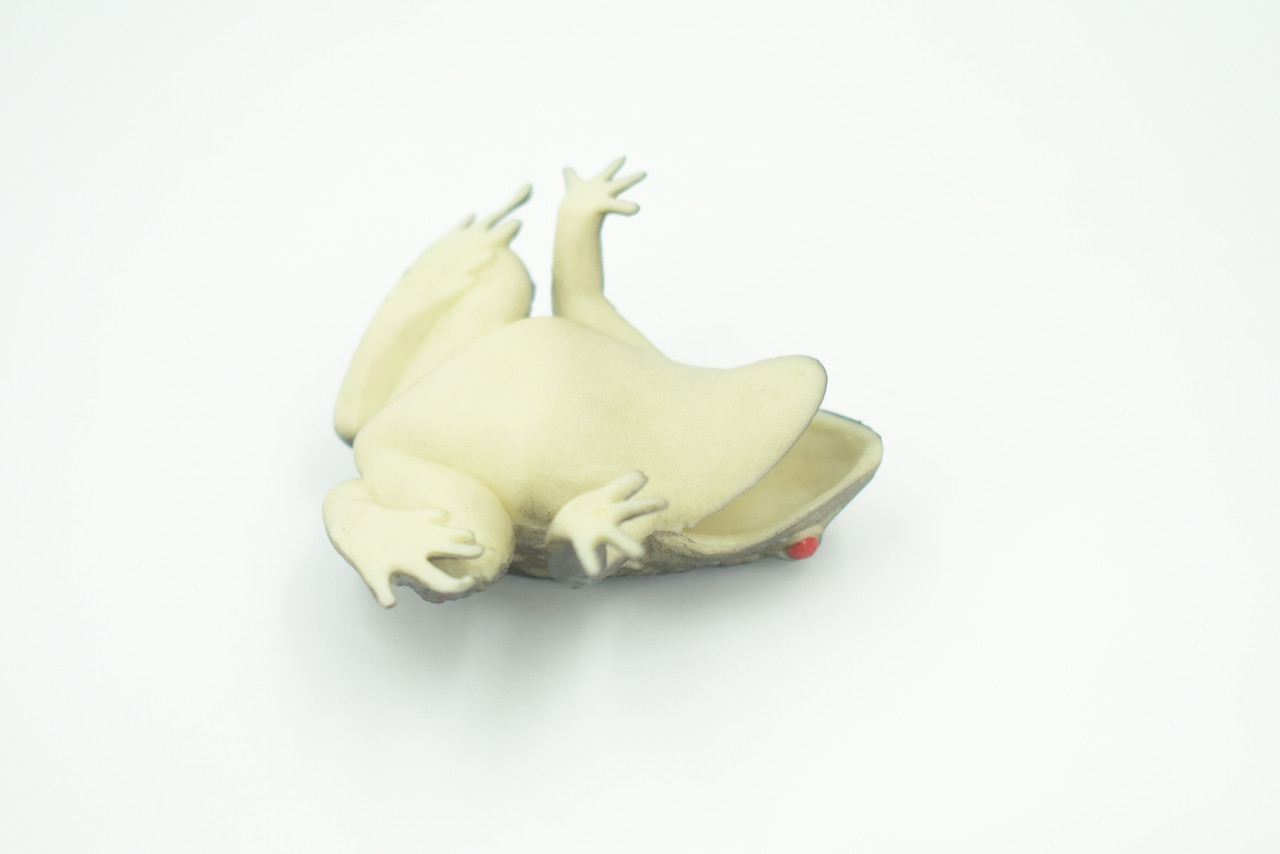 Frog, Black Frog, Toad, Rubber Toy, Realistic, Rainforest Amphibian, Figure, Model, Replica, Kids, Educational, Gift,     3"    F6091 B3