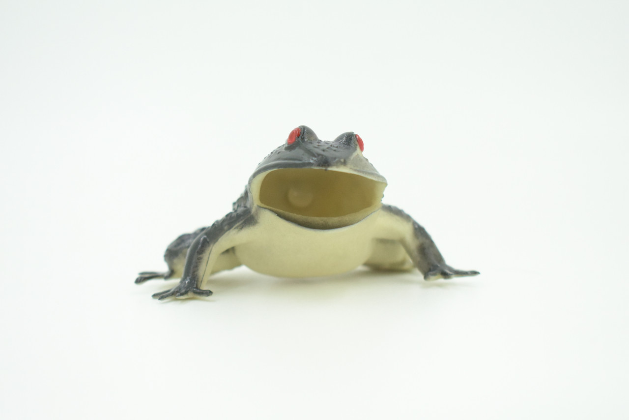 Frog, Black Frog, Toad, Rubber Toy, Realistic, Rainforest Amphibian, Figure, Model, Replica, Kids, Educational, Gift,     3"    F6091 B3