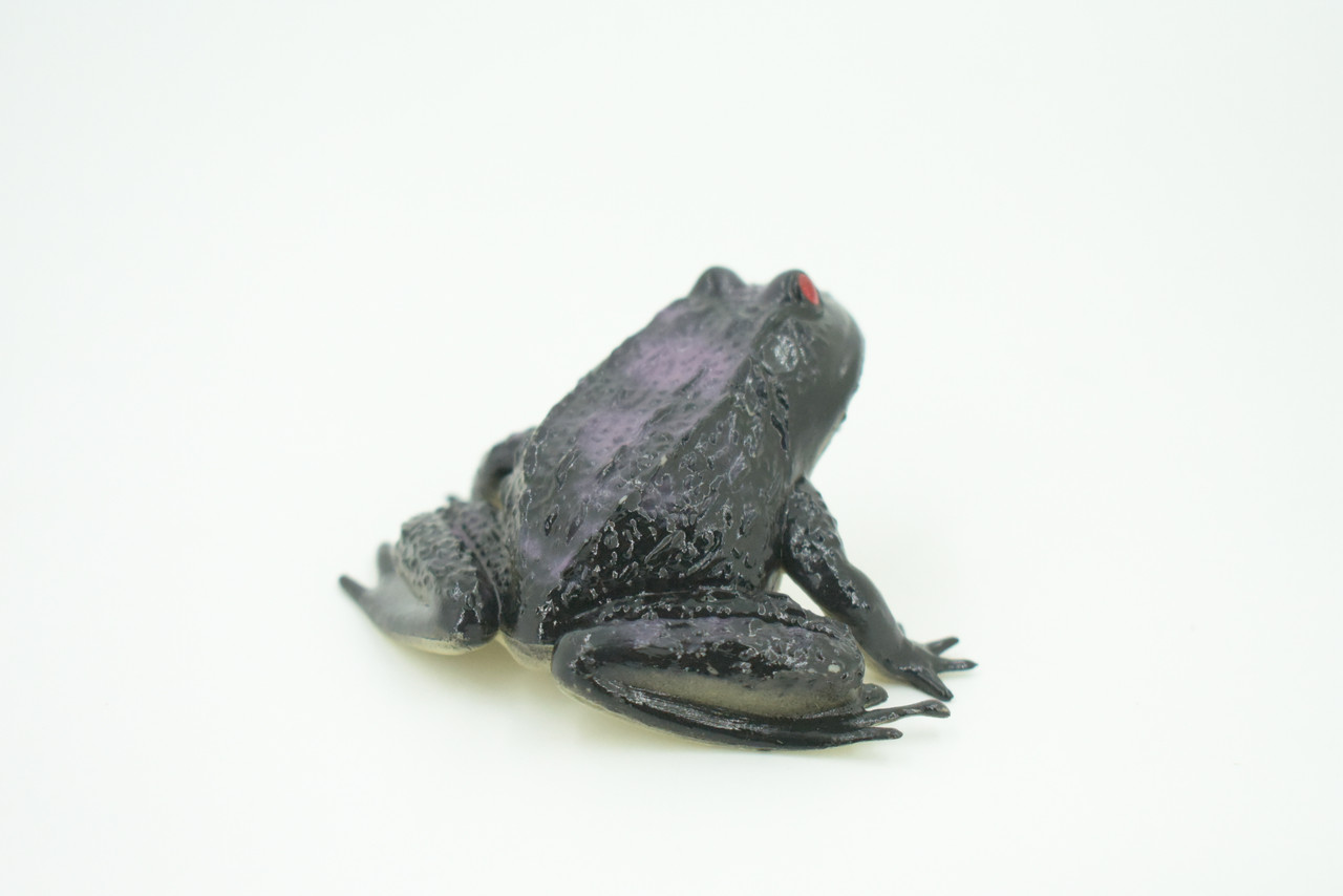 Frog, Black Frog, Toad, Rubber Toy, Realistic, Rainforest Amphibian, Figure, Model, Replica, Kids, Educational, Gift,     3"    F6091 B3