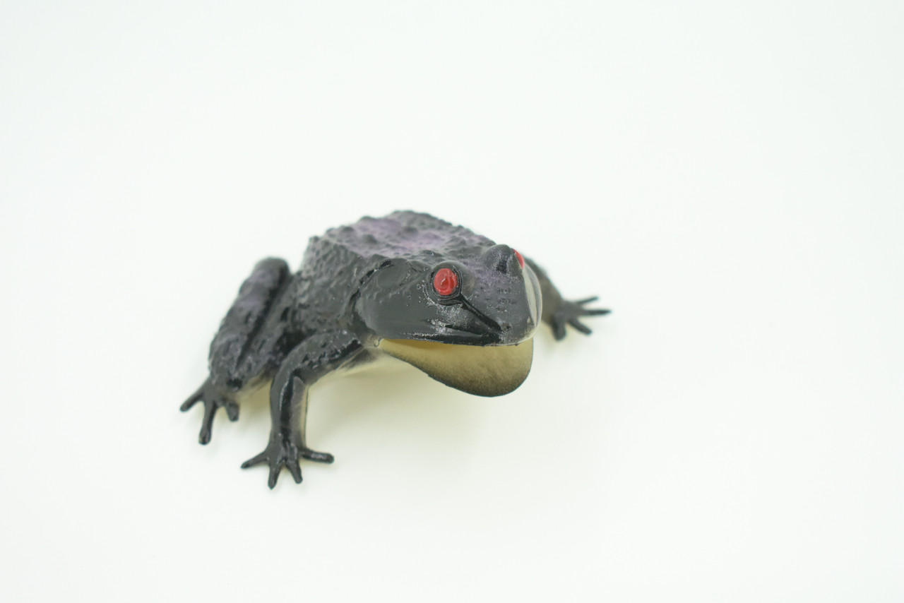 Frog, Black Frog, Toad, Rubber Toy, Realistic, Rainforest Amphibian, Figure, Model, Replica, Kids, Educational, Gift,     3"    F6091 B3