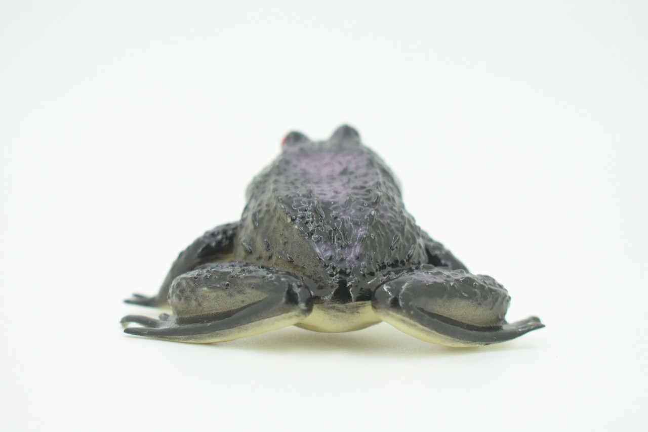 Frog, Black Frog, Toad, Rubber Toy, Realistic, Rainforest Amphibian, Figure, Model, Replica, Kids, Educational, Gift,     3"    F6091 B3