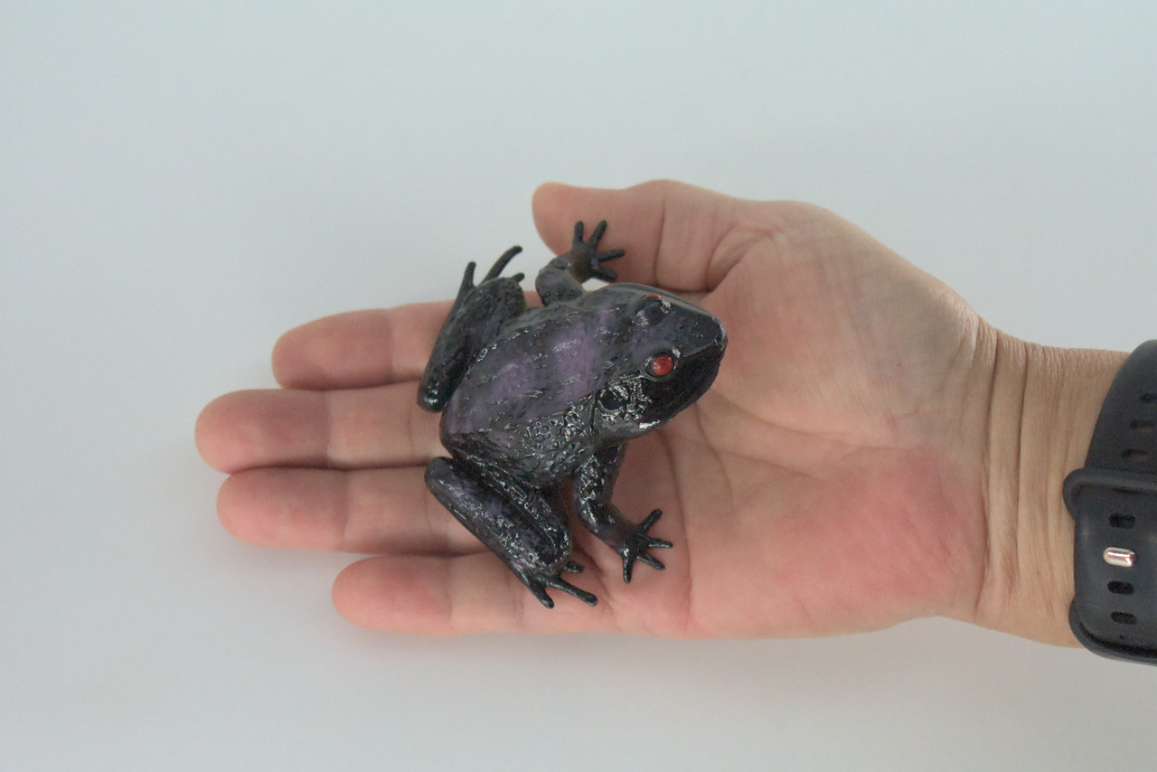 Frog, Black Frog, Toad, Rubber Toy, Realistic, Rainforest Amphibian, Figure, Model, Replica, Kids, Educational, Gift,     3"    F6091 B3