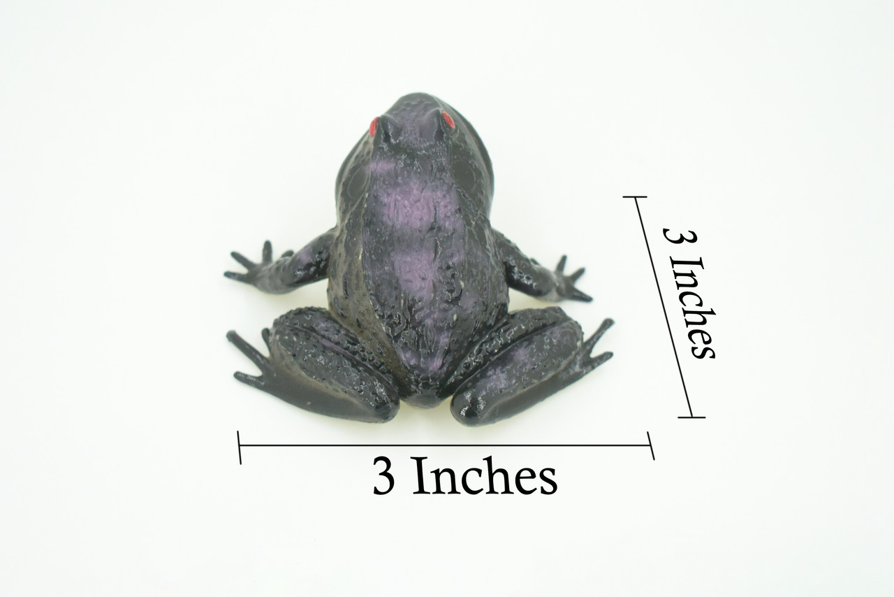 Frog, Black Frog, Toad, Rubber Toy, Realistic, Rainforest Amphibian, Figure, Model, Replica, Kids, Educational, Gift,     3"    F6091 B3