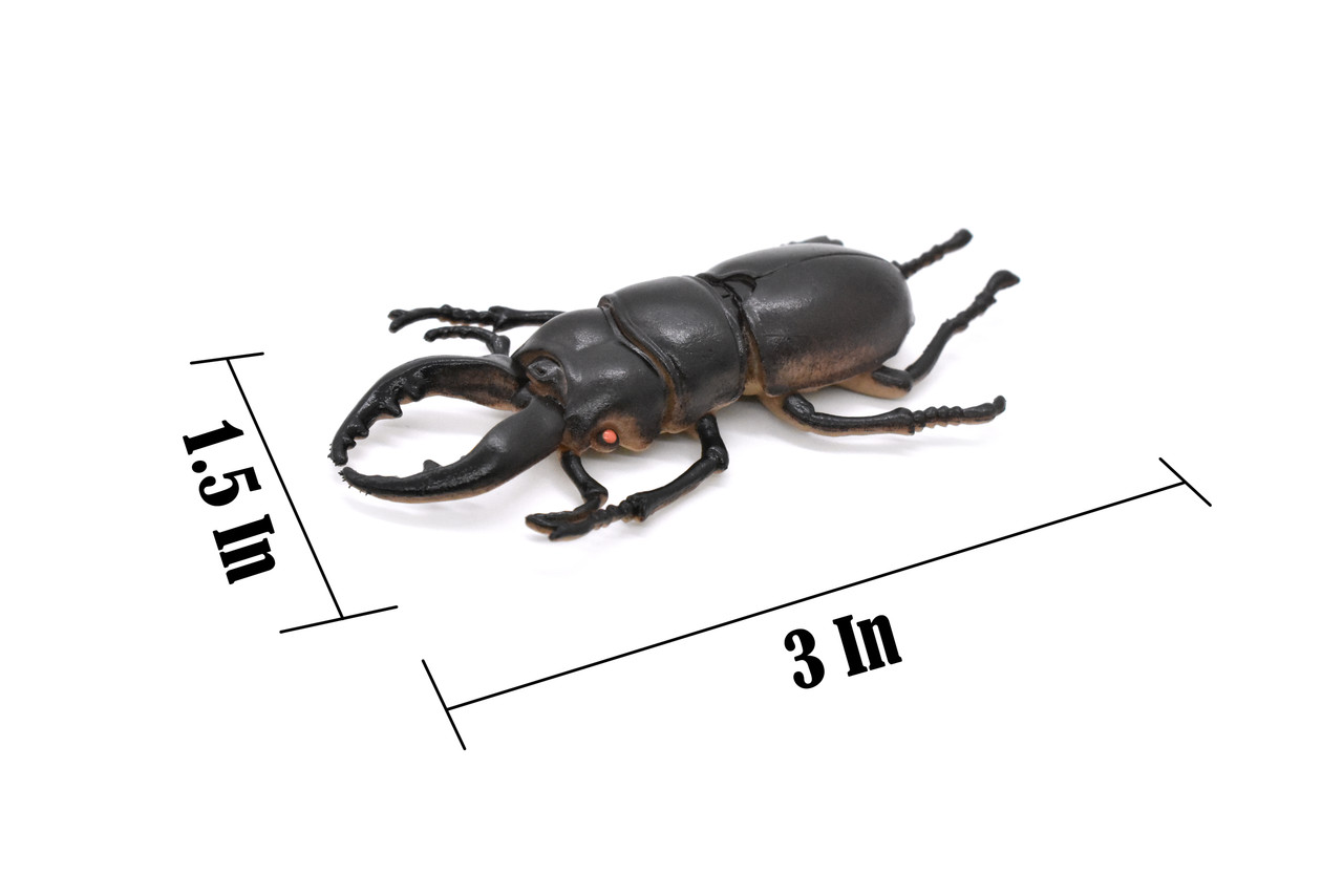 Stag Beetle, Lucanus cervus, Realistic Rubber Model, Bug, Insect, Educational, Hand Painted, Figure, Lifelike, Model, Figurine, Replica, Toy, 3 Inches  