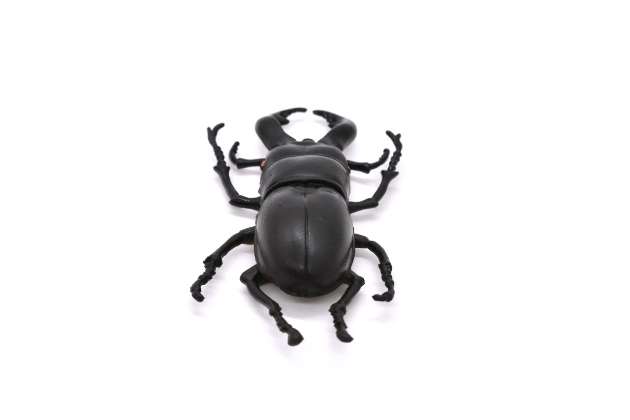 Stag Beetle, Lucanus cervus, Realistic Rubber Model, Bug, Insect, Educational, Hand Painted, Figure, Lifelike, Model, Figurine, Replica, Toy, 3 Inches  