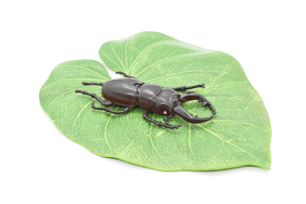 Stag Beetle, Lucanus cervus, Realistic Rubber Model, Bug, Insect, Educational, Hand Painted, Figure, Lifelike, Model, Figurine, Replica, Toy, 3 Inches  