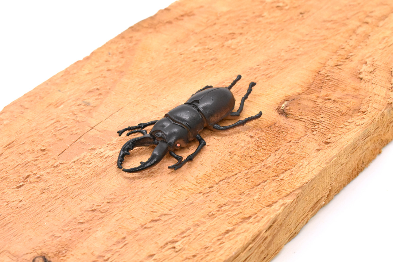 Stag Beetle, Lucanus cervus, Realistic Rubber Model, Bug, Insect, Educational, Hand Painted, Figure, Lifelike, Model, Figurine, Replica, Toy, 3 Inches  