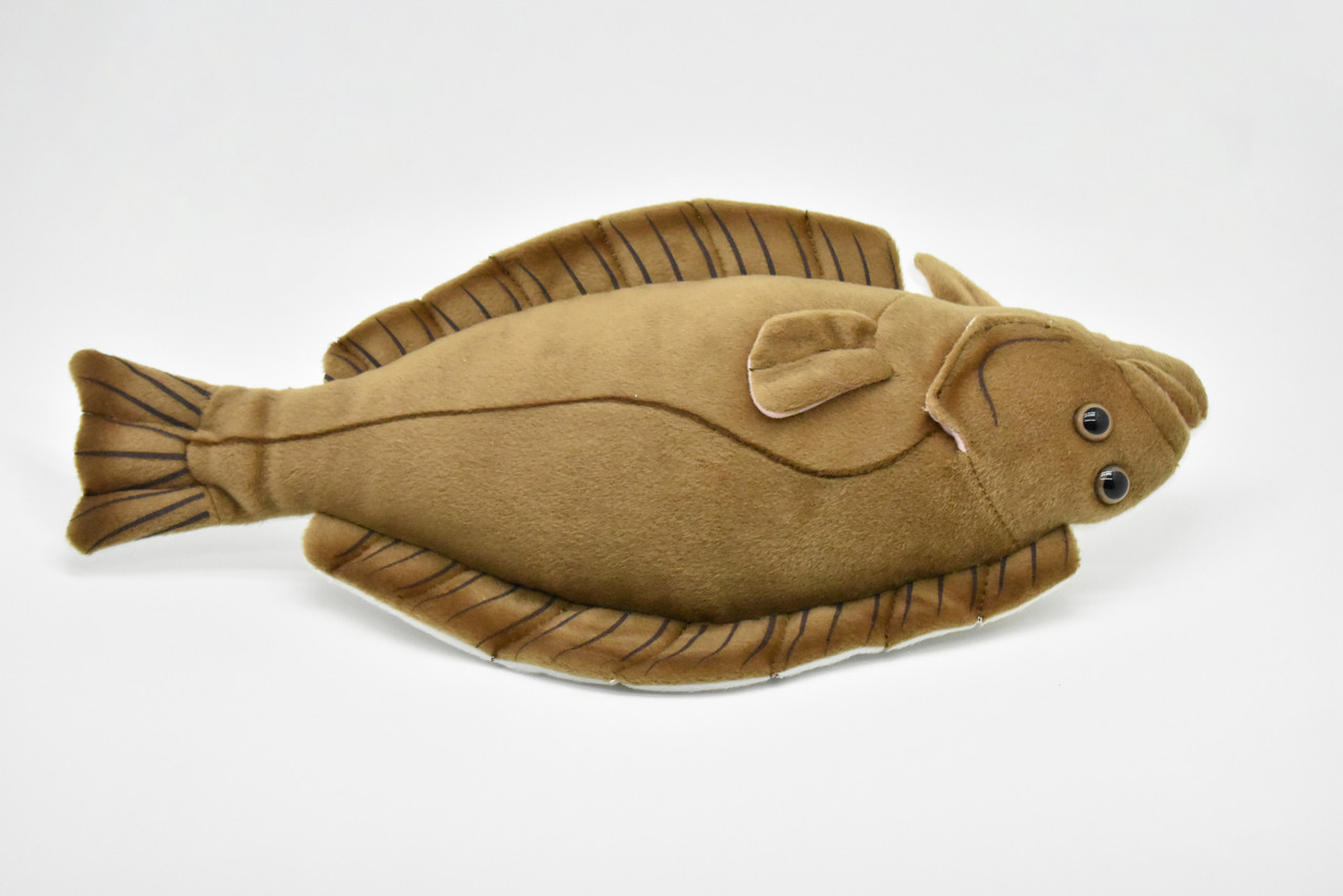 Halibut, Flat Fish, Very Nice Plush Fish, Stuffed Animal, Educational, Toy, Kids, Realistic Figure, Gift,       17"     F2419 BB59