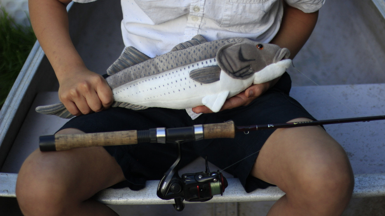 Striped Bass, Striper, Line Sider, Linesider, Saltwater Fish,  Stuffed Animal, Educational, Plush Toy, Kids, Realistic Figure, Lifelike Model, Replica, Gift,     17"     F4612 BB57