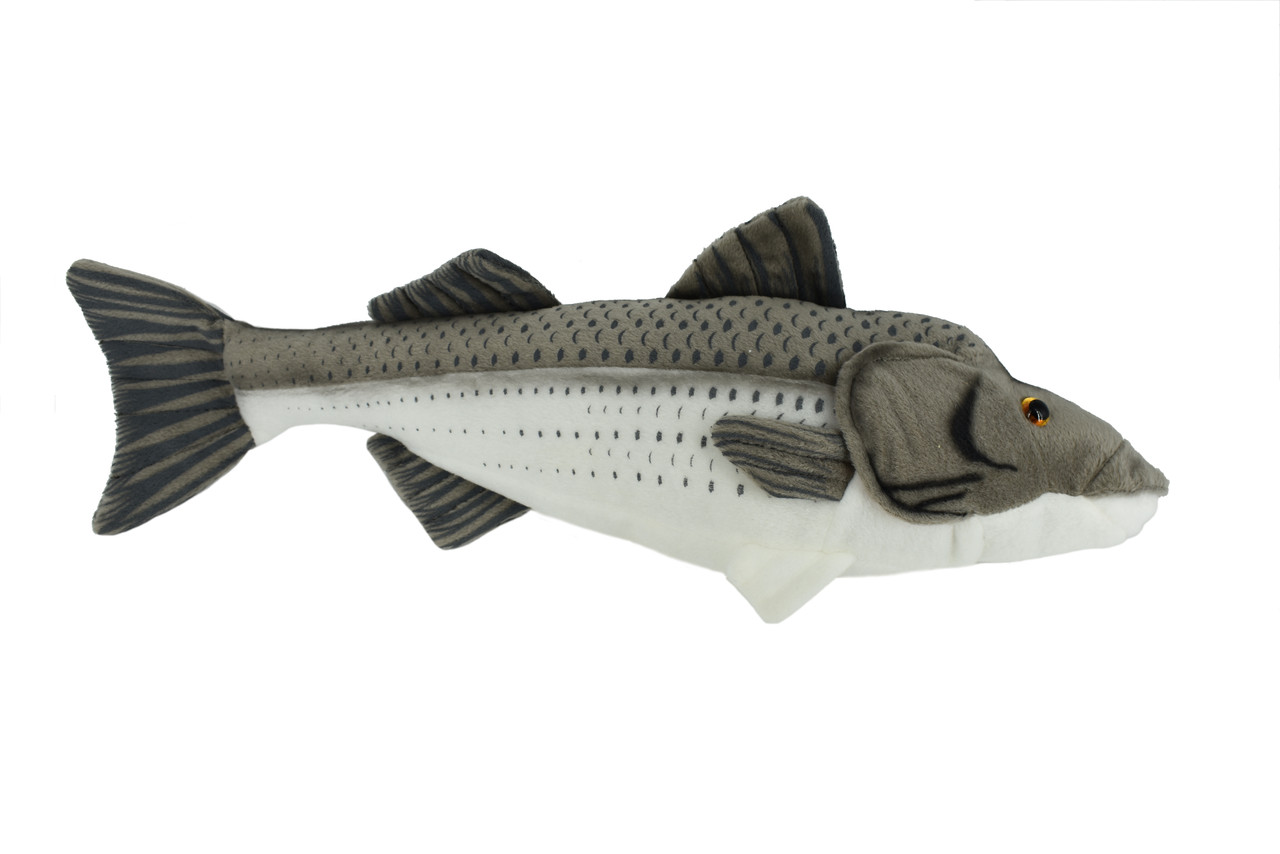 Striped Bass, Striper, Line Sider, Linesider, Very Nice Plush Fish, Stuffed Animal, Educational, Toy, Kids, Realistic Figure, Gift,     17" 