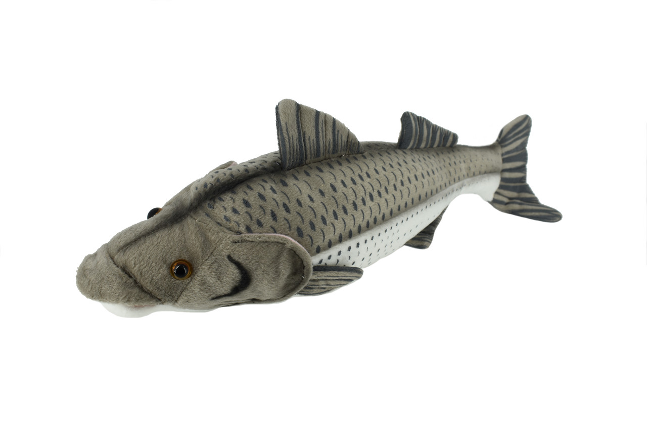 Striped Bass, Striper, Line Sider, Linesider, Very Nice Plush Fish, Stuffed Animal, Educational, Toy, Kids, Realistic Figure, Gift,     17" 