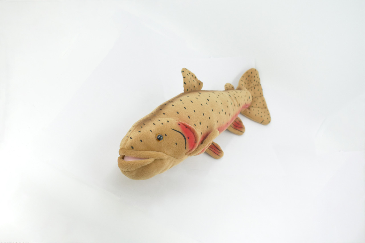 Cutthroat Trout, Plush Fish, Realistic, Lifelike, Stuffed, Soft, Educational, Model, Toy, Kids, Gift,        17"        F2490 BB56