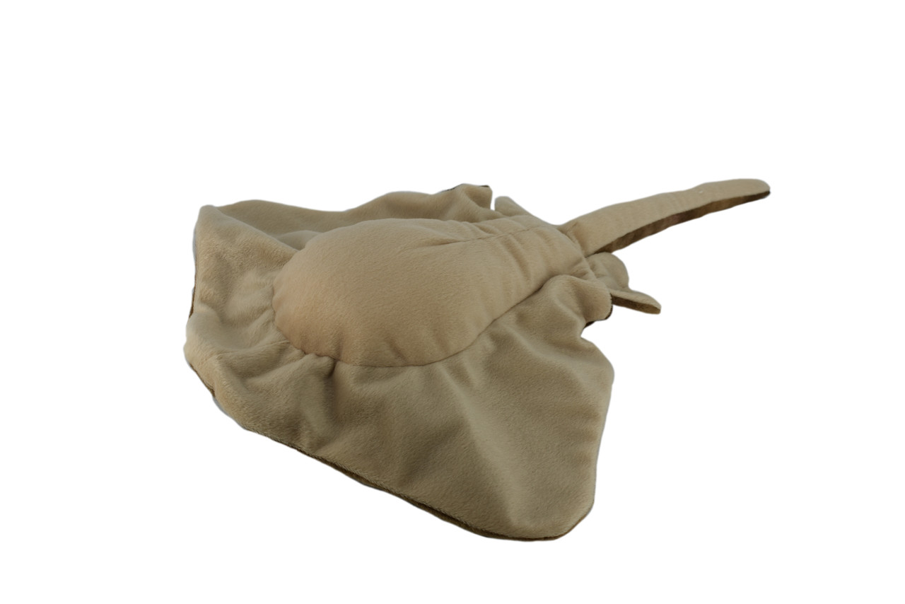 Stingray, Stingaree, Fish, Realistic, Lifelike, Stuffed, Soft, Toy, Educational, Animal, Kids, Gift, Very Nice Plush Animal        14"       F4616 BB52