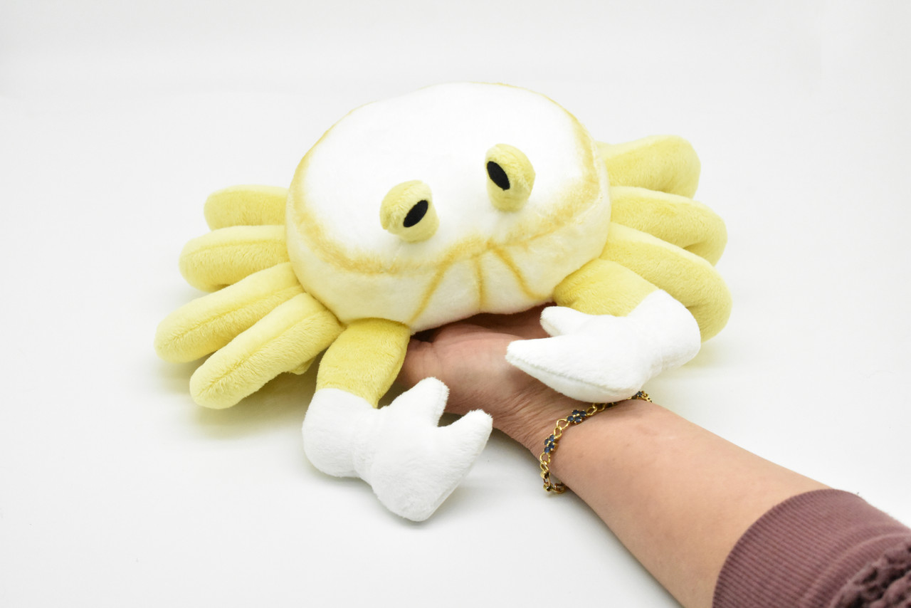 Ghost Crab, Realistic, Plush Crustaceans, Design, Educational, Toy, Kids, Realistic Figure, Lifelike Very Nice Plush Crab       9"