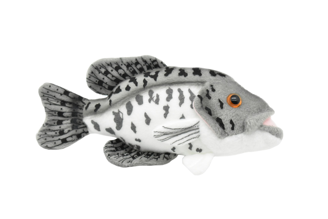 Black Crappie, Fish, Realistic, Lifelike, Stuffed, Soft, Toy, Educational, Animal, Kids, Gift, Very Nice Plush Animal           7"       F4602 BB60