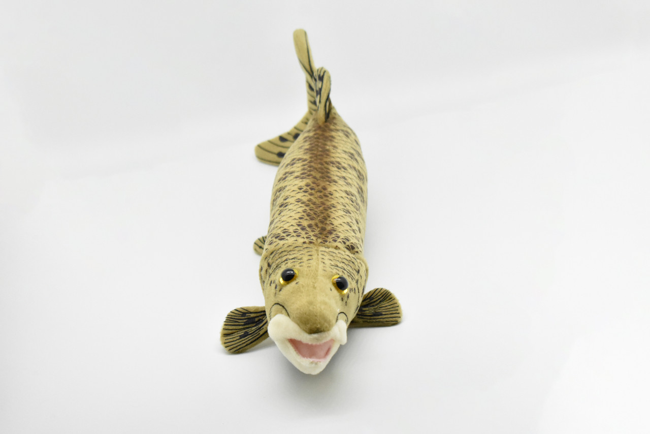 Muskellunge, Muskie, Musky, Fish, Realistic, Lifelike, Stuffed, Soft, Toy, Educational, Animal, Kids, Gift, Very Nice Plush Animal           17"        F4610 BB56